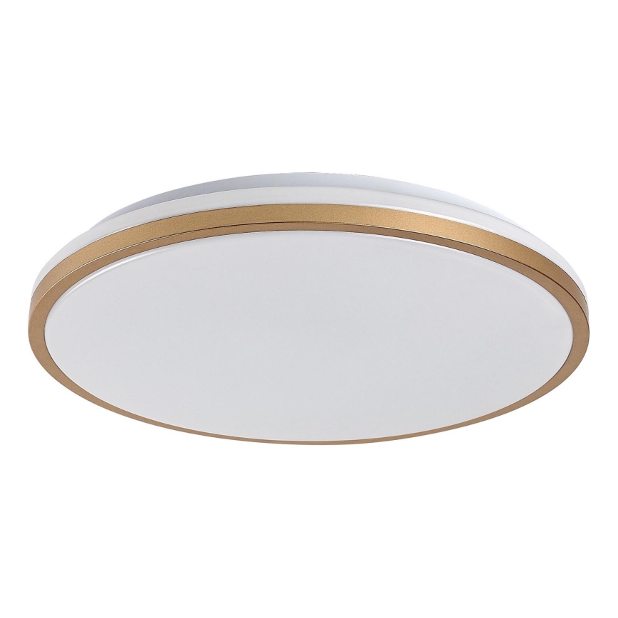 Rabalux - LED-kylpyhuoneen kattovalaisin LED/18W/230V IP44 halkaisija 34 cm