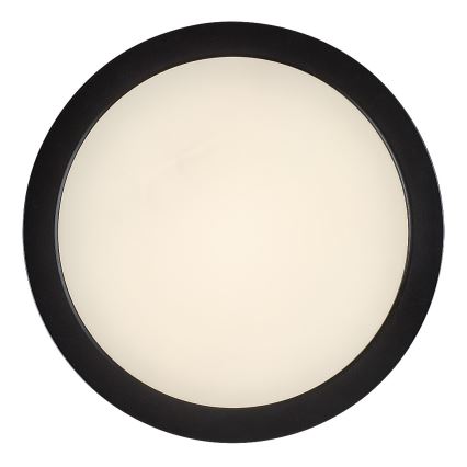 Rabalux - LED-kylpyhuoneen kattovalaisin LED/24W/230V halkaisija 22 cm IP44 musta