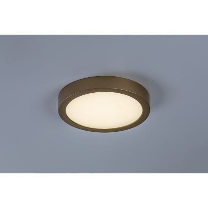 Rabalux - LED kylpyhuoneen kattovalaisin LED/24W/230V halkaisija 22 cm IP44 kultainen