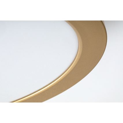 Rabalux - LED kylpyhuoneen kattovalaisin LED/24W/230V halkaisija 22 cm IP44 kultainen