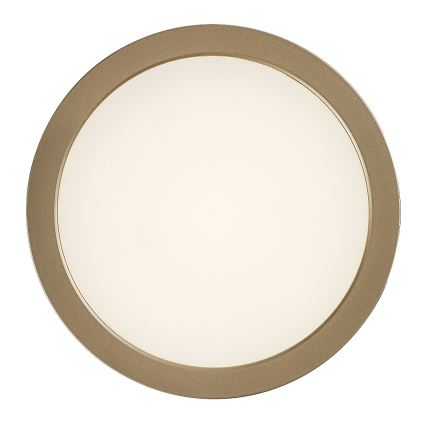 Rabalux - LED kylpyhuoneen kattovalaisin LED/24W/230V halkaisija 22 cm IP44 kultainen