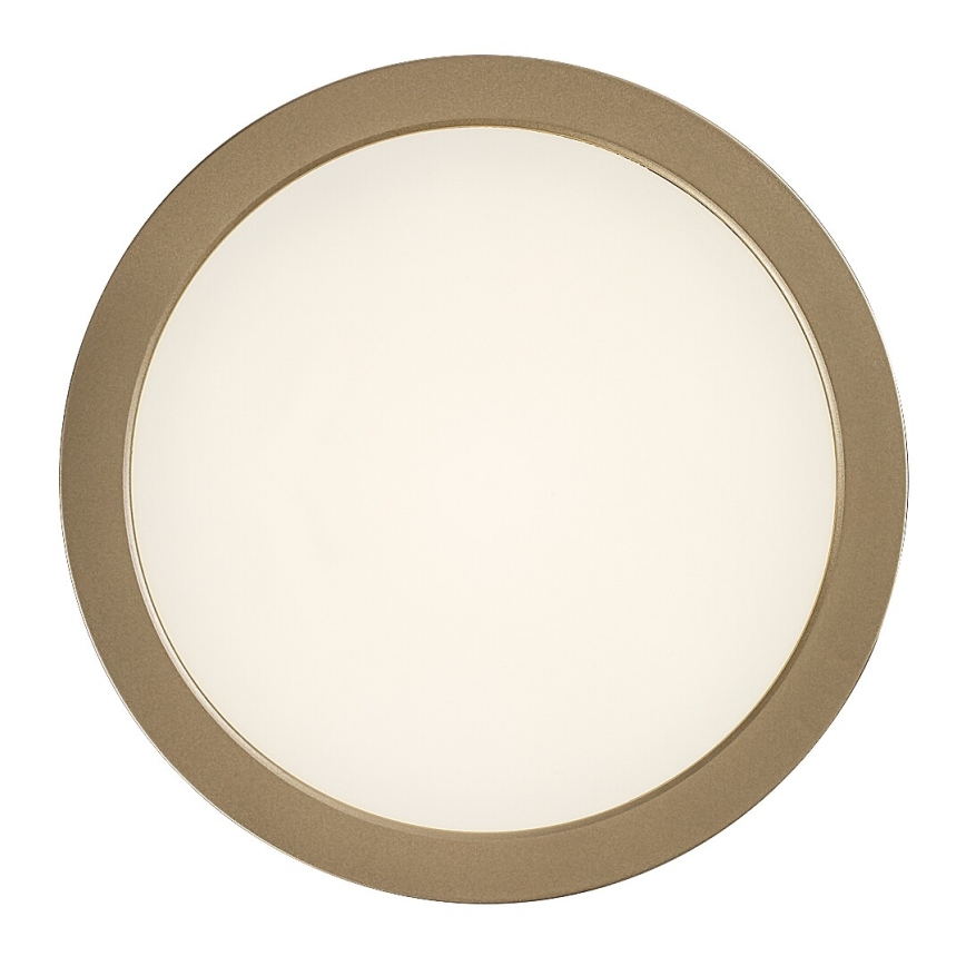 Rabalux - LED kylpyhuoneen kattovalaisin LED/24W/230V halkaisija 22 cm IP44 kultainen