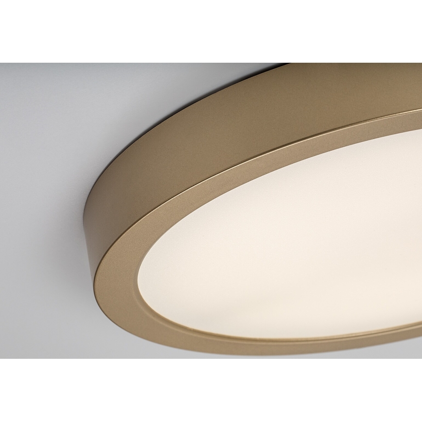 Rabalux - LED-kattovalaisin kylpyhuoneeseen LED/30W/230V halkaisija 30 cm IP44 kultainen