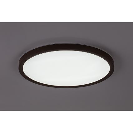 Rabalux - LED-kylpyhuoneen kattovalaisin LED/24W/230V 3000/4000/6000K halkaisija 40 cm IP44 ruskea