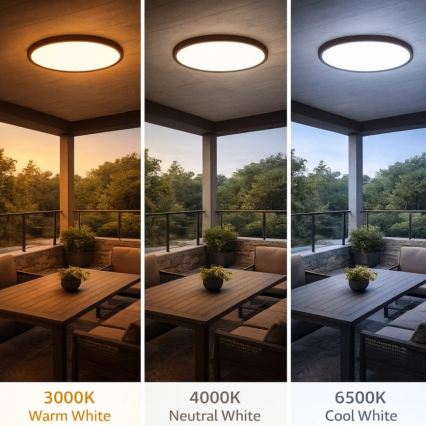 Rabalux - LED-kylpyhuoneen kattovalaisin LED/24W/230V 3000/4000/6000K halkaisija 40 cm IP44 ruskea