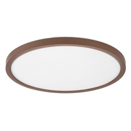 Rabalux - LED-kylpyhuoneen kattovalaisin LED/24W/230V 3000/4000/6000K halkaisija 40 cm IP44 ruskea