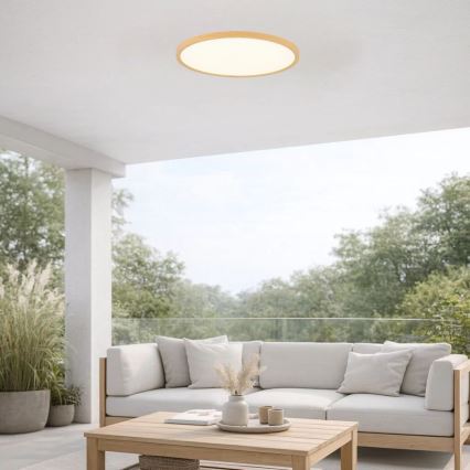 Rabalux - LED-kylpyhuoneen kattovalaisin LED/24W/230V 3000/4000/6000K Ø 40 cm IP44 beige