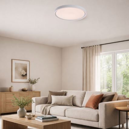 Rabalux - himmennettävä LED-kattovalaisin LED/31W/230V IP40 3000-6500K Ø 41,5 cm + kaukosäädin