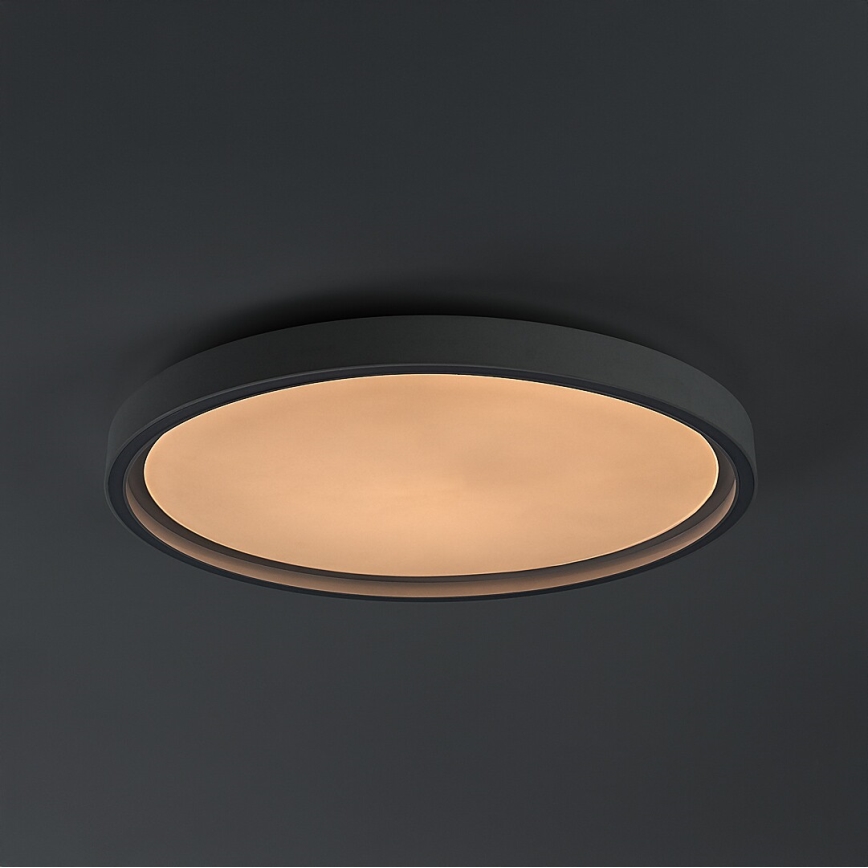 Rabalux - himmennettävä LED-kattovalaisin LED/31W/230V IP40 3000-6500K Ø 41,5 cm + kaukosäädin