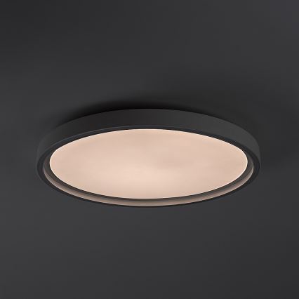 Rabalux - himmennettävä LED-kattovalaisin LED/31W/230V IP40 3000-6500K Ø 41,5 cm + kaukosäädin