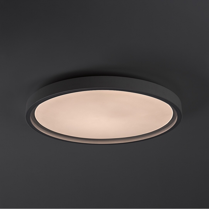 Rabalux - himmennettävä LED-kattovalaisin LED/31W/230V IP40 3000-6500K Ø 41,5 cm + kaukosäädin