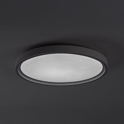 Rabalux - himmennettävä LED-kattovalaisin LED/31W/230V IP40 3000-6500K Ø 41,5 cm + kaukosäädin