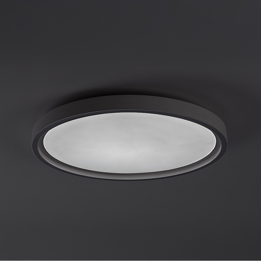 Rabalux - himmennettävä LED-kattovalaisin LED/31W/230V IP40 3000-6500K Ø 41,5 cm + kaukosäädin