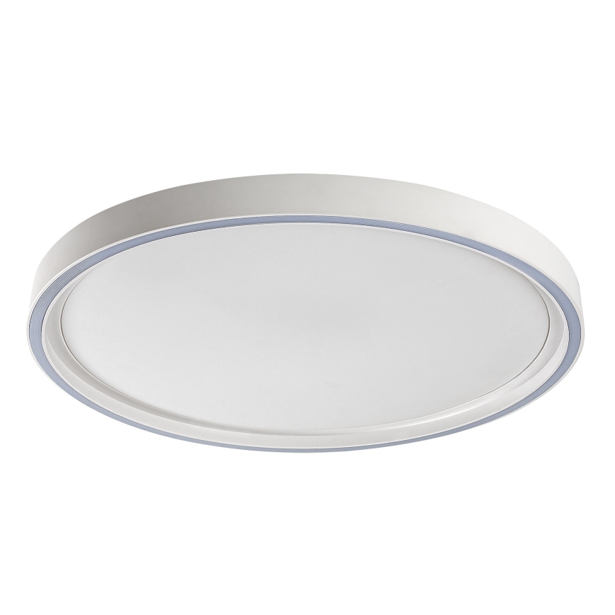 Rabalux - himmennettävä LED-kattovalaisin LED/31W/230V IP40 3000-6500K Ø 41,5 cm + kaukosäädin