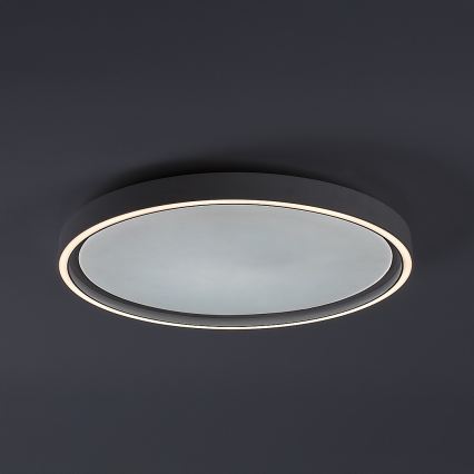 Rabalux - himmennettävä LED-kattovalaisin LED/31W/230V IP40 3000-6500K Ø 41,5 cm + kaukosäädin