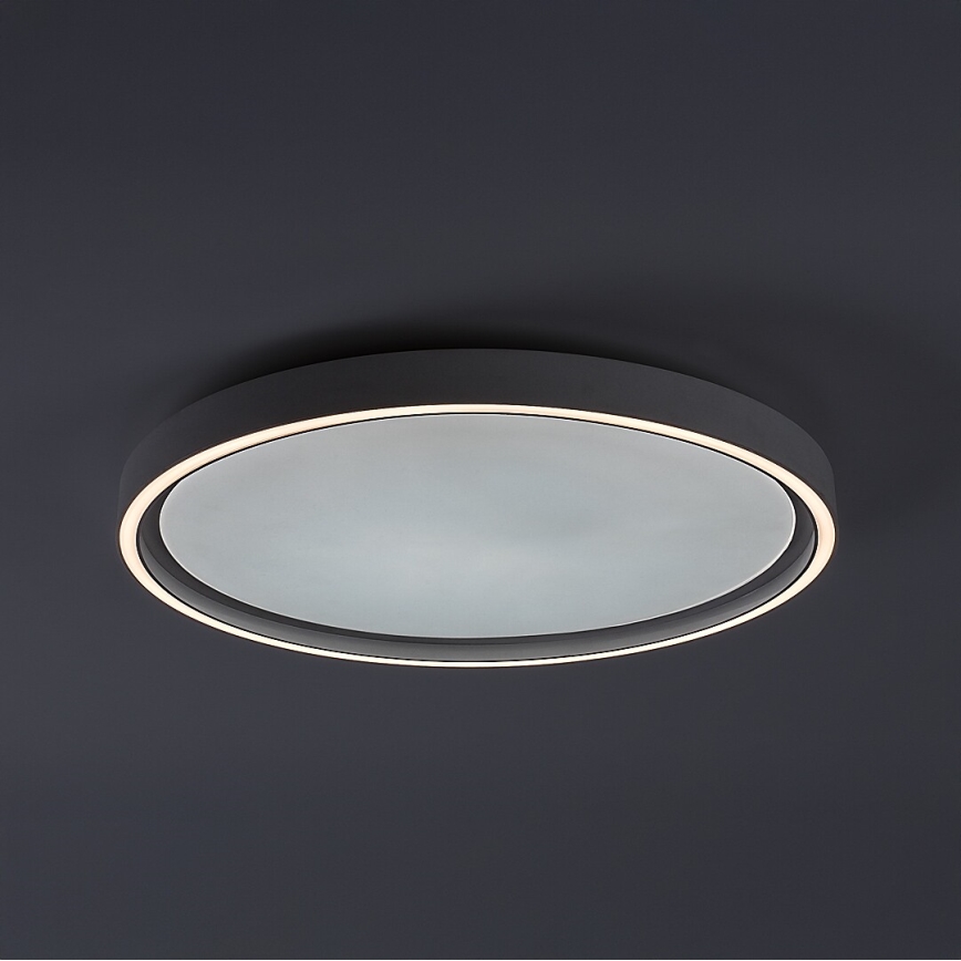 Rabalux - himmennettävä LED-kattovalaisin LED/31W/230V IP40 3000-6500K Ø 41,5 cm + kaukosäädin