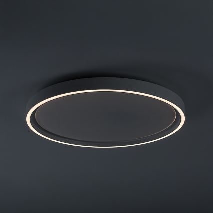 Rabalux - himmennettävä LED-kattovalaisin LED/31W/230V IP40 3000-6500K Ø 41,5 cm + kaukosäädin