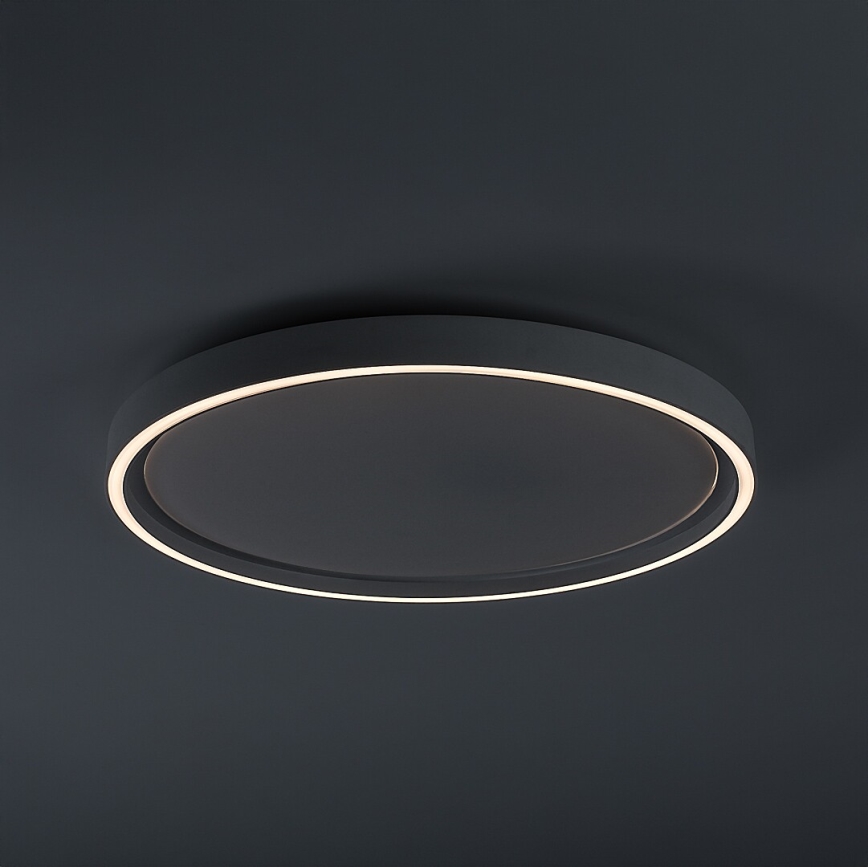 Rabalux - himmennettävä LED-kattovalaisin LED/31W/230V IP40 3000-6500K Ø 41,5 cm + kaukosäädin