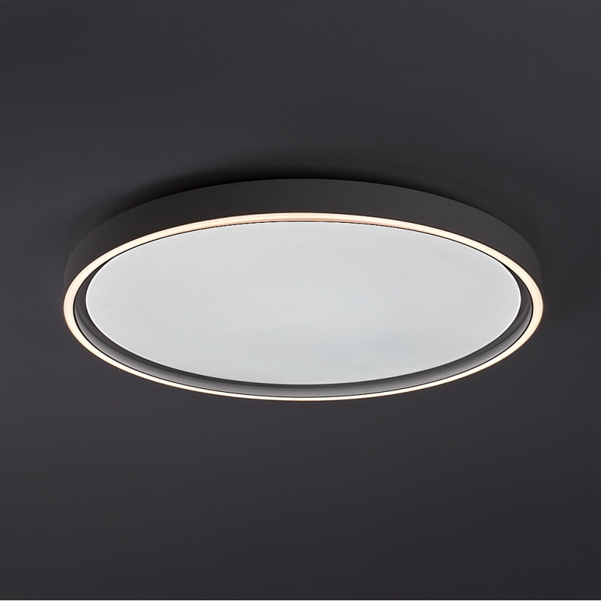 Rabalux - himmennettävä LED-kattovalaisin LED/54W/230V IP40 3000-6500K Ø 52 cm + kaukosäädin