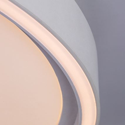 Rabalux - himmennettävä LED-kattovalaisin LED/54W/230V IP40 3000-6500K Ø 52 cm + kaukosäädin