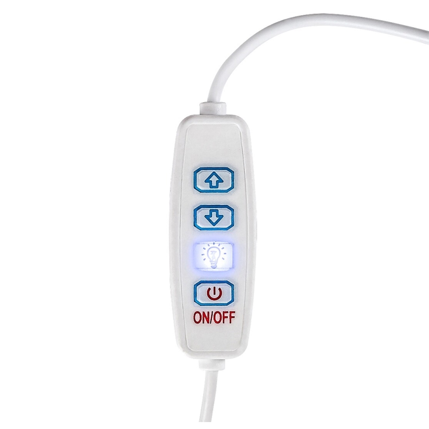 Rabalux - LED himmennettävä pöytävalaisin LED/1,2W/5V 3000K pyökki