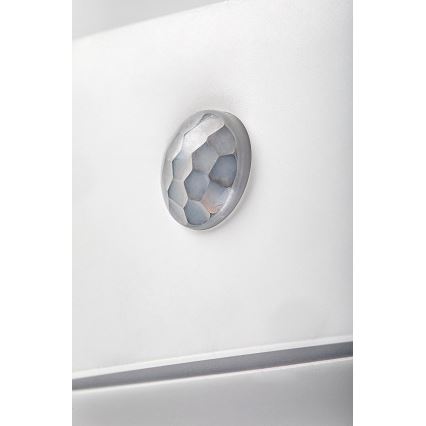 Rabalux - LED Night rechargeable kevyt anturilla LED/0,15W/3,7V 3000K 300 mAh