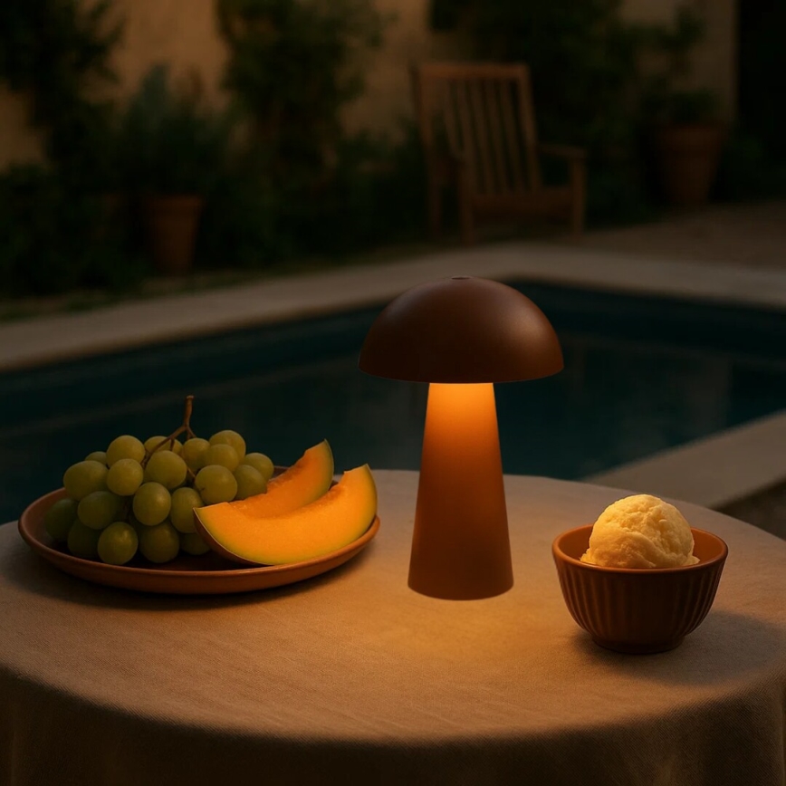 Rabalux - LED Himmennettävä kosketusohjaimella varustettu ladattava ulkovalo LED/1,5W/5V IP44 1200 mAh USB ruskea