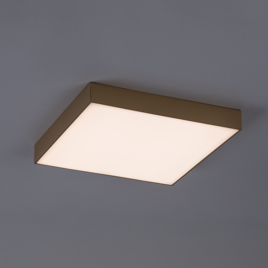 Rabalux - Kylpyhuoneen LED-kattovalaisin LED/24W/230V 2800/4000/6000K IP44