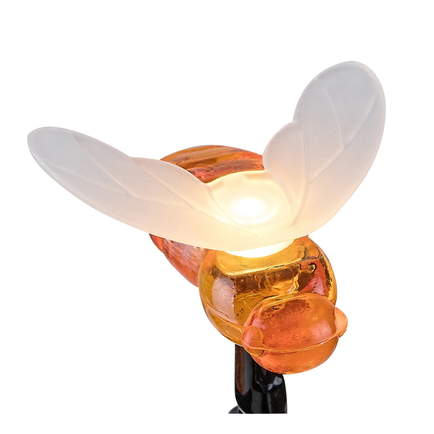 Rabalux - LED-aurinkoketju 20xLED/0,06W/1,2V IP44 600 mAh