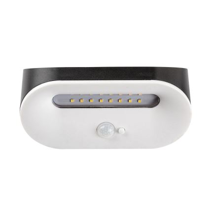 Rabalux - LED aurinkokennovalo anturilla LED/3,2W/3,7V IP44