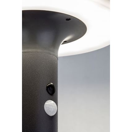 Rabalux - LED aurinkokennovalo anturilla LED/10W/3,7V IP44