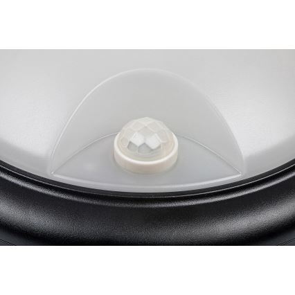 Rabalux - LED Ulkoseinävalaisin anturilla LED/15W/230V IP54