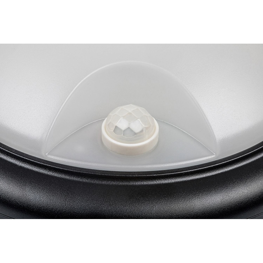 Rabalux - LED Ulkoseinävalaisin anturilla LED/15W/230V IP54