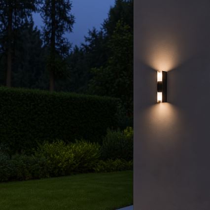 Rabalux - LED ulkoseinävalaisin LED/13W/230V IP65 antrasiitti