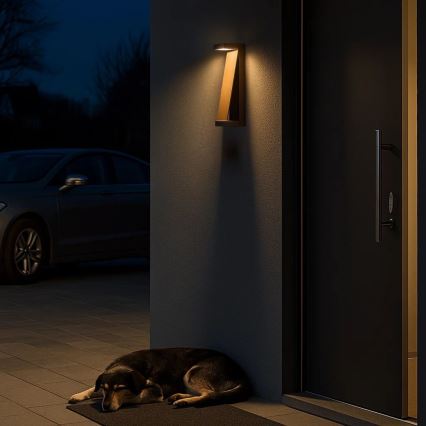 Rabalux - LED-ulkoseinävalaisin LED/13W/230V IP65 ruskea