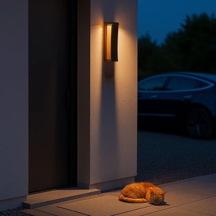 Rabalux - LED-ulkoseinävalaisin LED/13W/230V IP65 ruskea