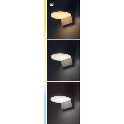 Rabalux - LED Ulkovalaisin LED/9W/230V 2700/4000/6500K IP54 musta