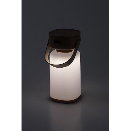 Rabalux - LED Himmennettävä ladattava ulkopöytävalaisin LED/3W/5V IP44 ruskea