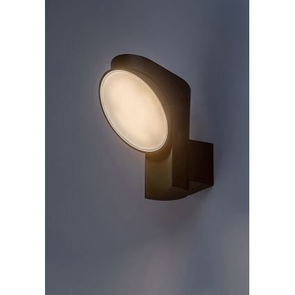 Rabalux - LED-ulkoseinävalaisin LED/12W/230V IP54