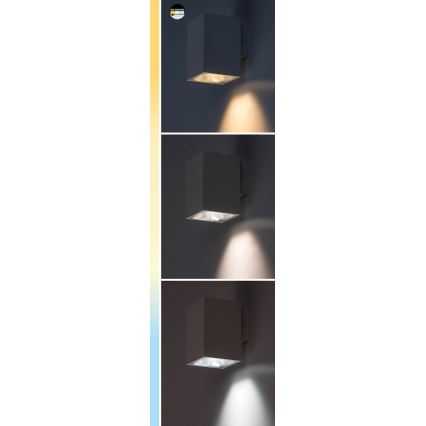 Rabalux - LED-ulkoseinävalaisin LED/9W/230V 2700/4000/6500K IP65 musta