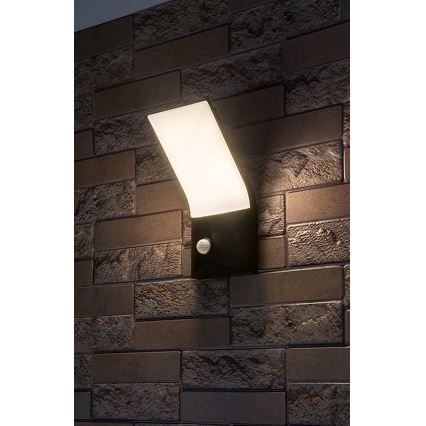 Rabalux - LED-ulkovalaisin seinälle liiketunnistimella LED/10W/230V IP54