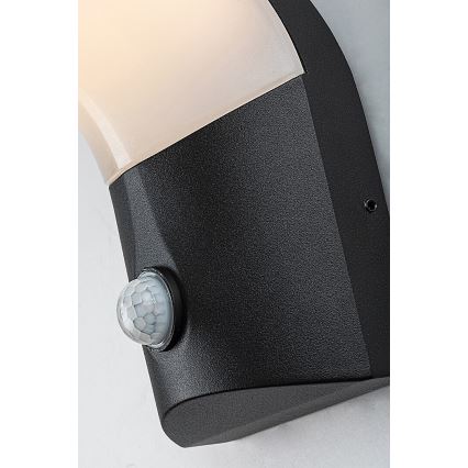 Rabalux - LED-ulkovalaisin seinälle liiketunnistimella LED/10W/230V IP54