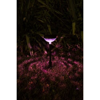 Rabalux - LED RGB aurinkokäyttöinen valaisin LED/0,1W/1,2V 600mAh IP44