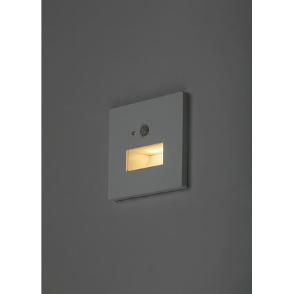 Rabalux - LED porrasvalaisin liiketunnistimella ja hämäräkytkimellä LED/1W/230V 3000/4500/6500K valkoinen