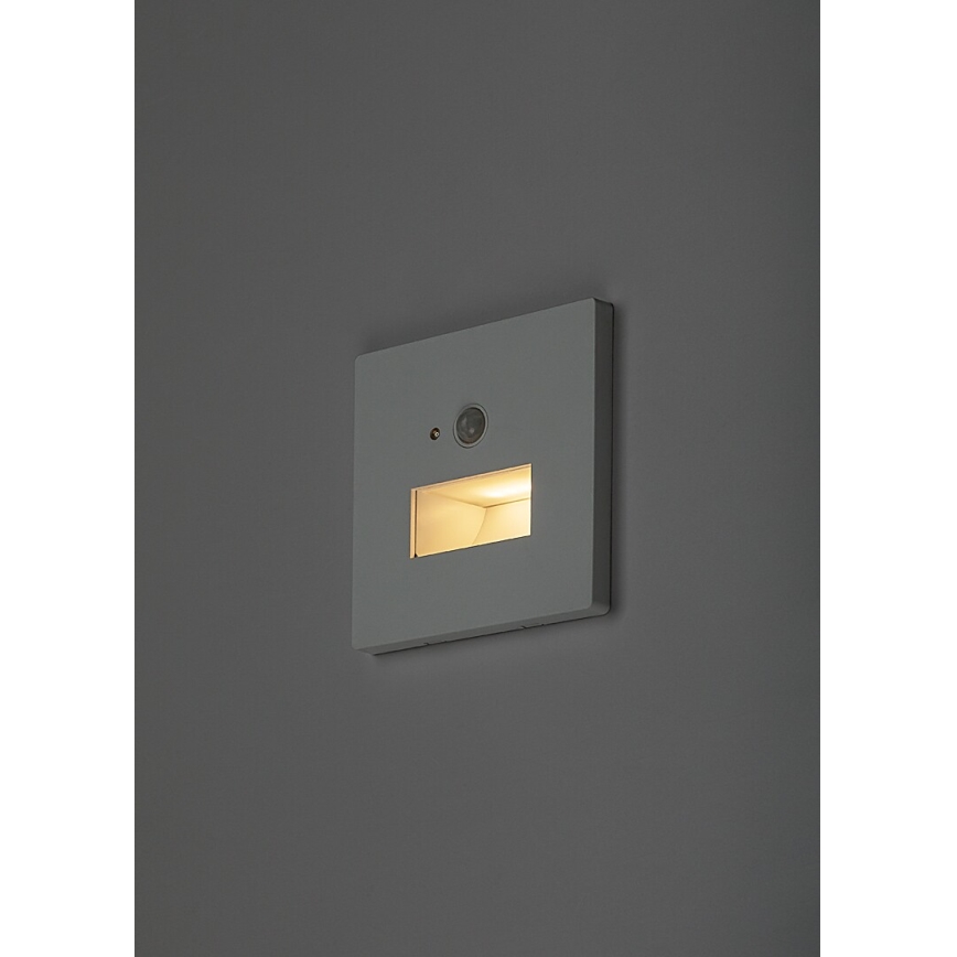 Rabalux - LED porrasvalaisin liiketunnistimella ja hämäräkytkimellä LED/1W/230V 3000/4500/6500K valkoinen