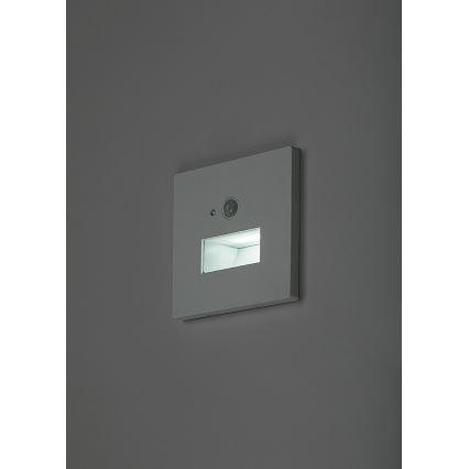 Rabalux - LED porrasvalaisin liiketunnistimella ja hämäräkytkimellä LED/1W/230V 3000/4500/6500K valkoinen