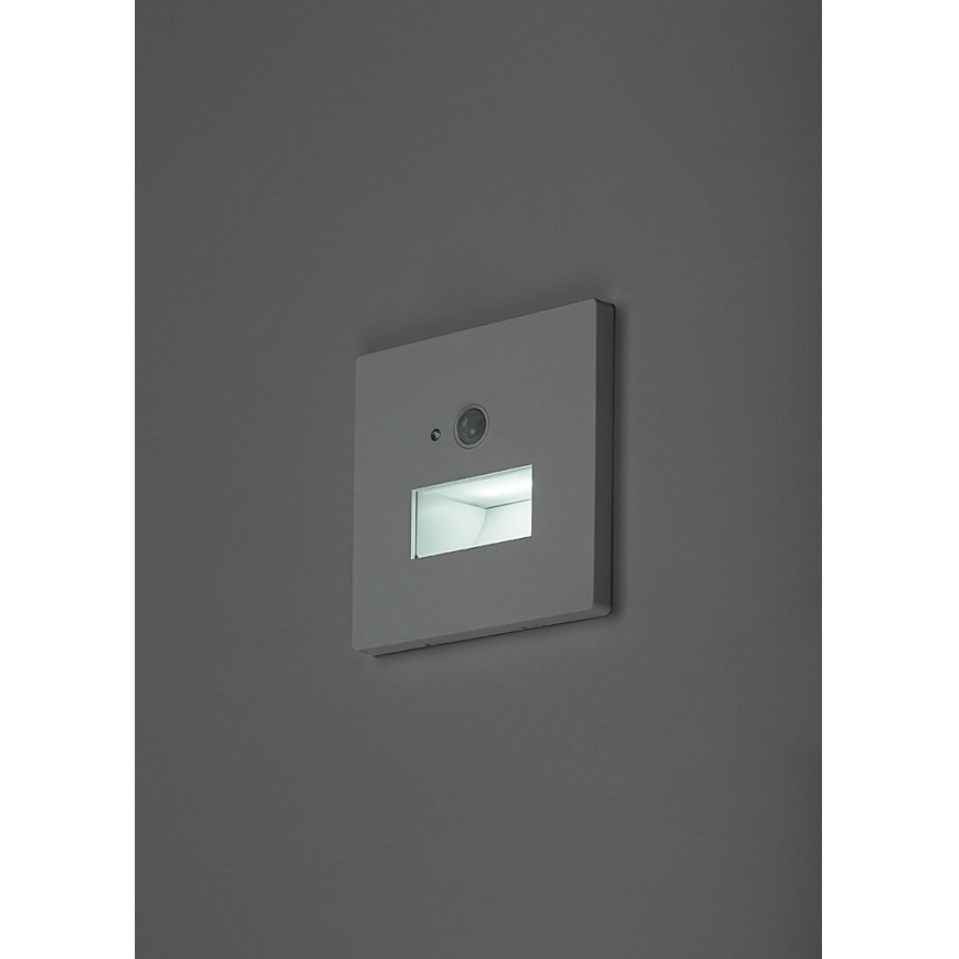 Rabalux - LED porrasvalaisin liiketunnistimella ja hämäräkytkimellä LED/1W/230V 3000/4500/6500K valkoinen