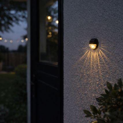 Rabalux - 2 kpl LED-aurinkoseinävalaisinta LED/0,06W/1,2V 300 mAh IP44