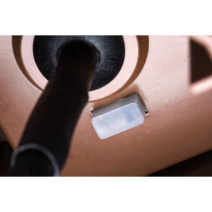 Rabalux - LED-ulkovalaisin LED/9W/230V IP65 ruskea