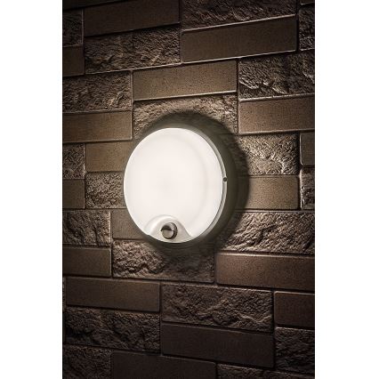 Rabalux - LED-ulkoseinävalaisin tunnistimella LED/18W/230V IP65 musta